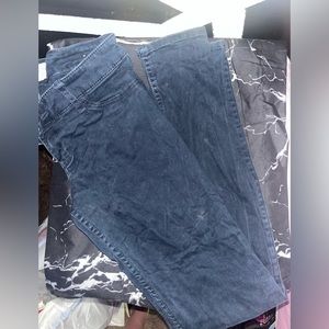 Hollister Navy Blue Pants